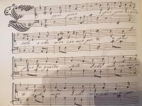 è pur poco un guardo solo