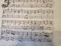 Fuor di me non v'è beltà