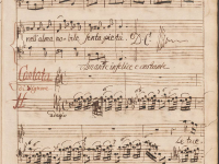 Amante infelice e costante