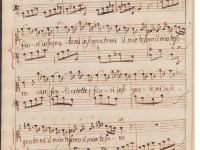 Care fonti erbette e fiori