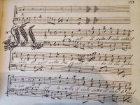 Mira sol le stelle in cielo