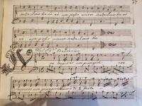 Non sospirar non piangere