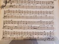 Parlar più non lice