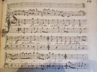 Pupillette vezzosette