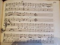 Porti in volto un certo vezzo