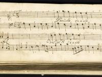 Donzelle tenere fanciulle amabili