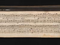 Così le giovani si fanno amar