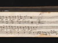 Lo sperar è vanità