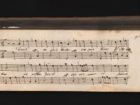 Farò per te mio bene