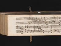 Impara a fingere, povero cor