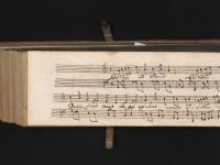 Bella donna, fiera maga