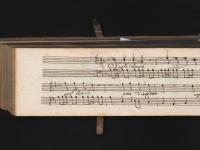 Voglio amarlo a tuo dispetto