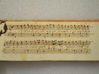 Il mio cor non ha cervello