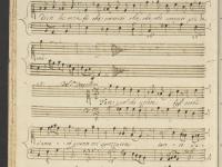 Fate quel che volete