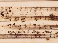 Senza guida e senza stella