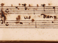 Tuo danno non dovesti farmene