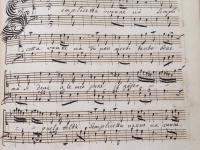 Semplicetta vanne va