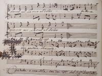 TIrsi pastore amante