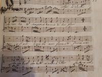 Api industri che volate