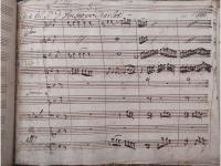 Impallidisce in campo