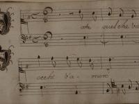 Fate quel che volete