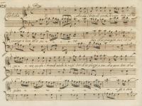 Anche i tronchi anche le rupi