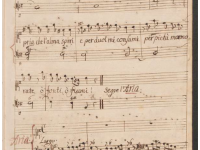 Sentite o tronchi o sassi