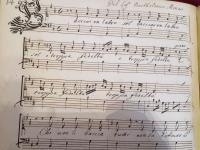 Bacciar un labbro sol