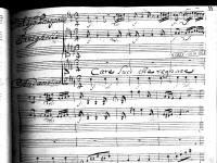 Care luci che regnate