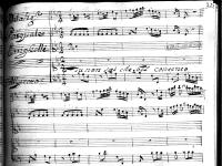 Tu non sai che bel contento