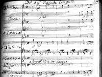 Impallidisce in campo