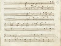 Voglio guerra e non pietà