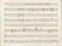 La speranza è una tiranna 1