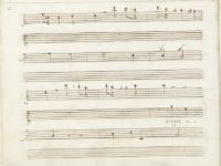 Troppo amabile e vezzoso 2