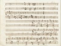 Per seguirti idolo mio